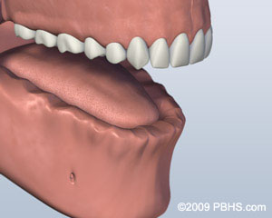 A mouth with the lower jaw missing all of its teeth